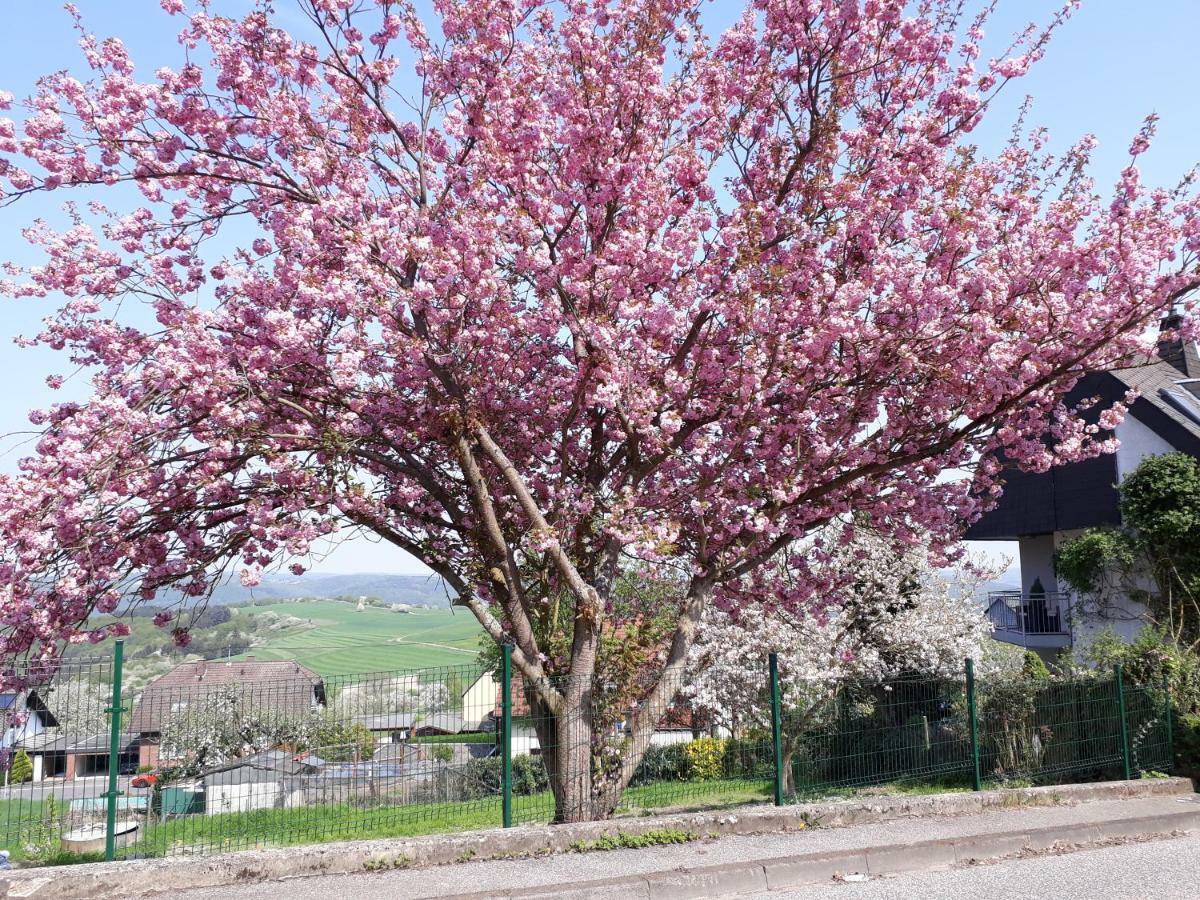 Apartmán Haus Der Rosen Boppard Exteriér fotografie